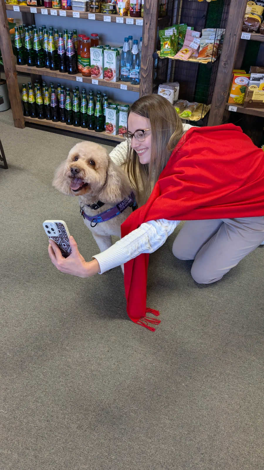 Maddie the goldendoodle, April 2025