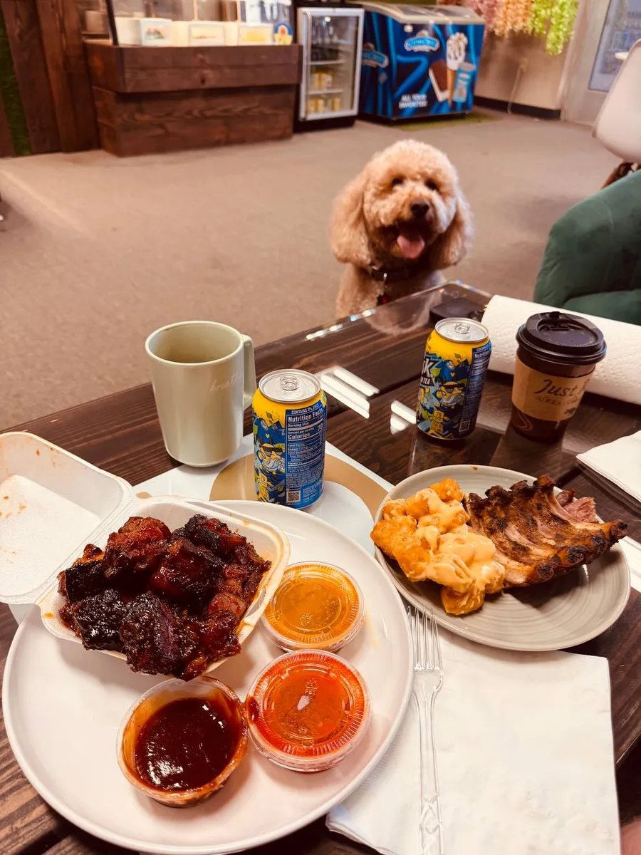 Maddie the goldendoodle, July 2025